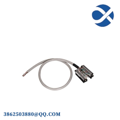 Schneider Electric 1492-CABLE050TBCH Cable, Control Systems